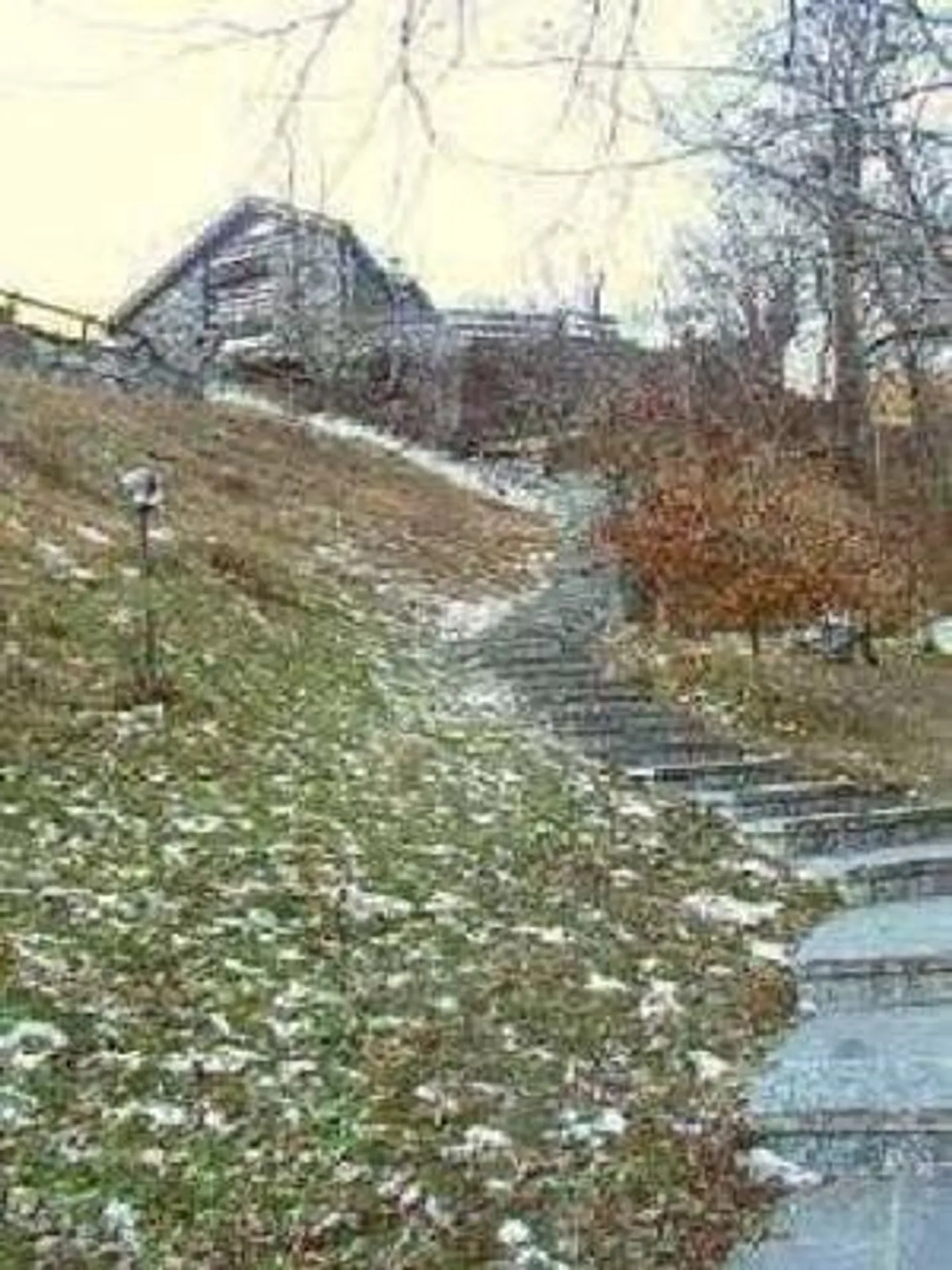 Casa singola in affitto - Foto 4 di 7