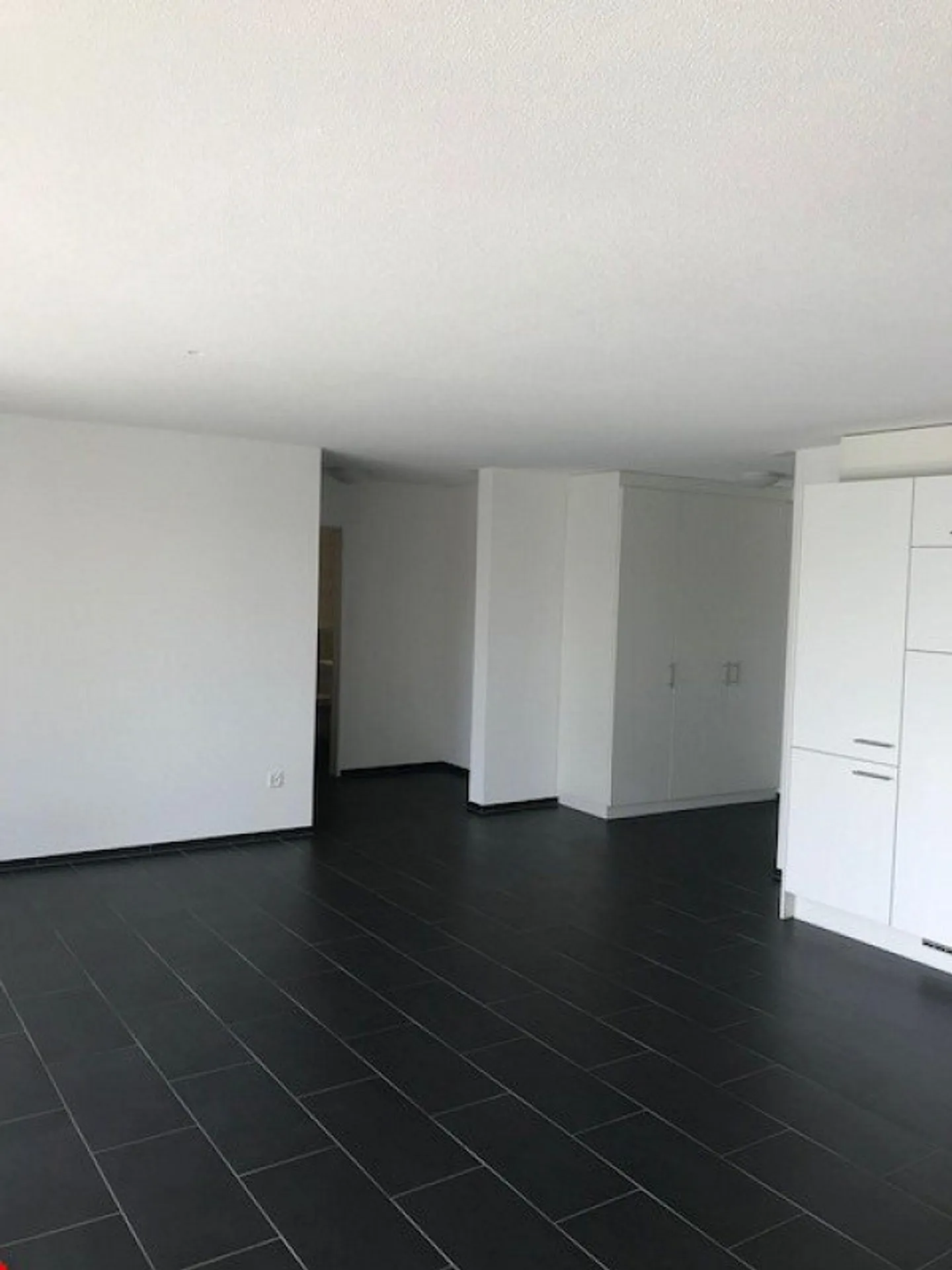 Ampio appartamento di 2,5 locali a Oensingen! - Foto 5 di 10