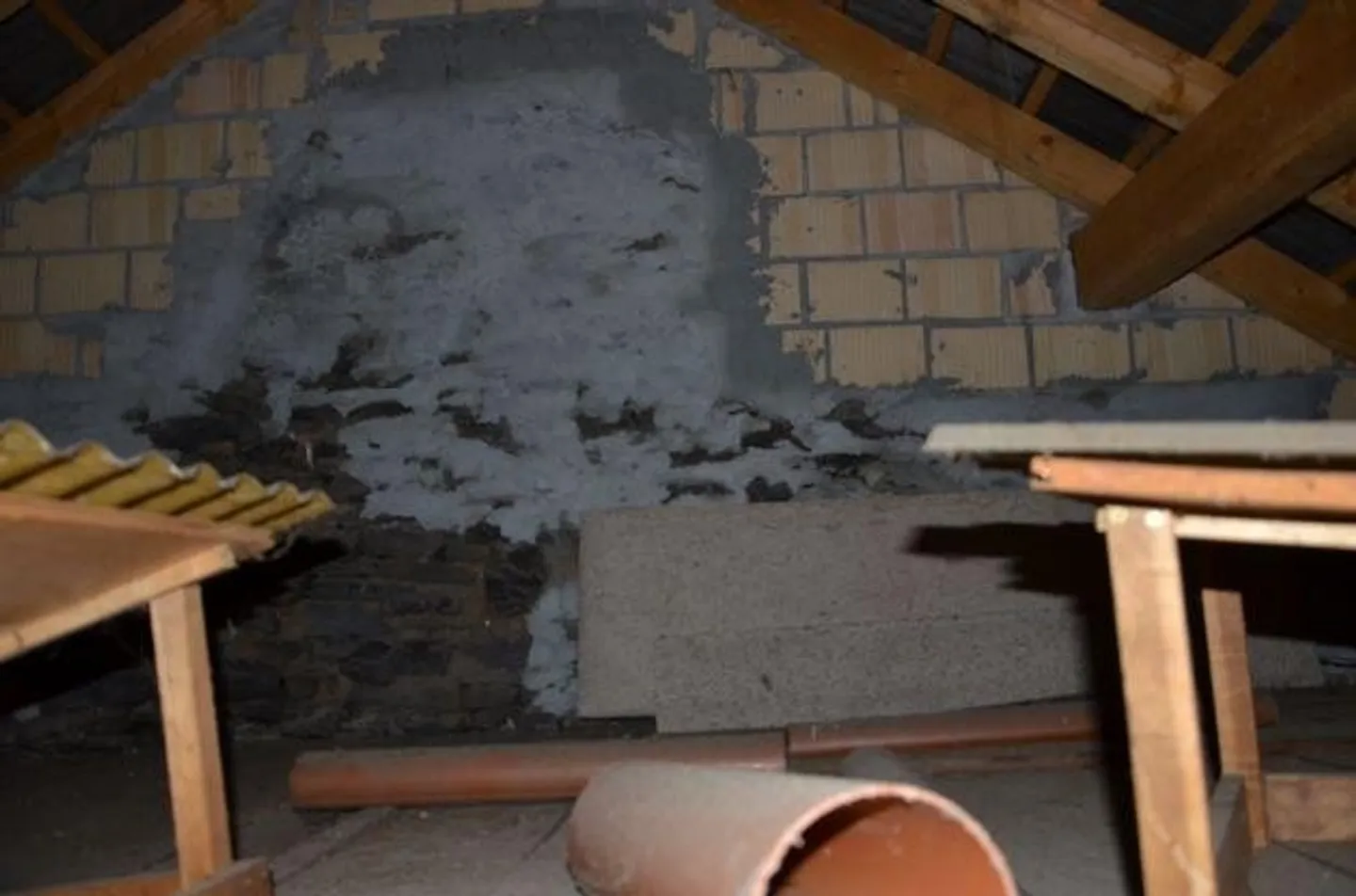 2 Rustic Houses to Renovate in the Village Center - Photo 17 of 21