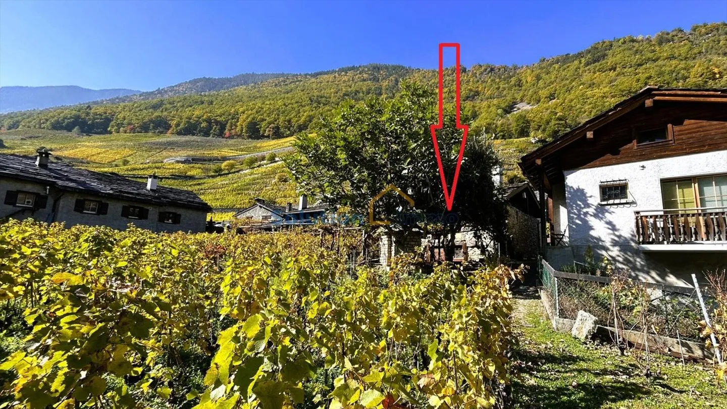 Maison au cœur de Plan-Cerisier - Photo 7 sur 13