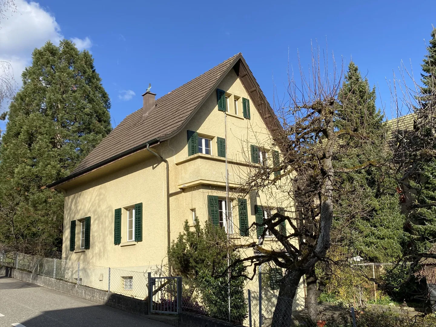 Single-family house with seating areas, balcony, garage - Photo 1 of 13