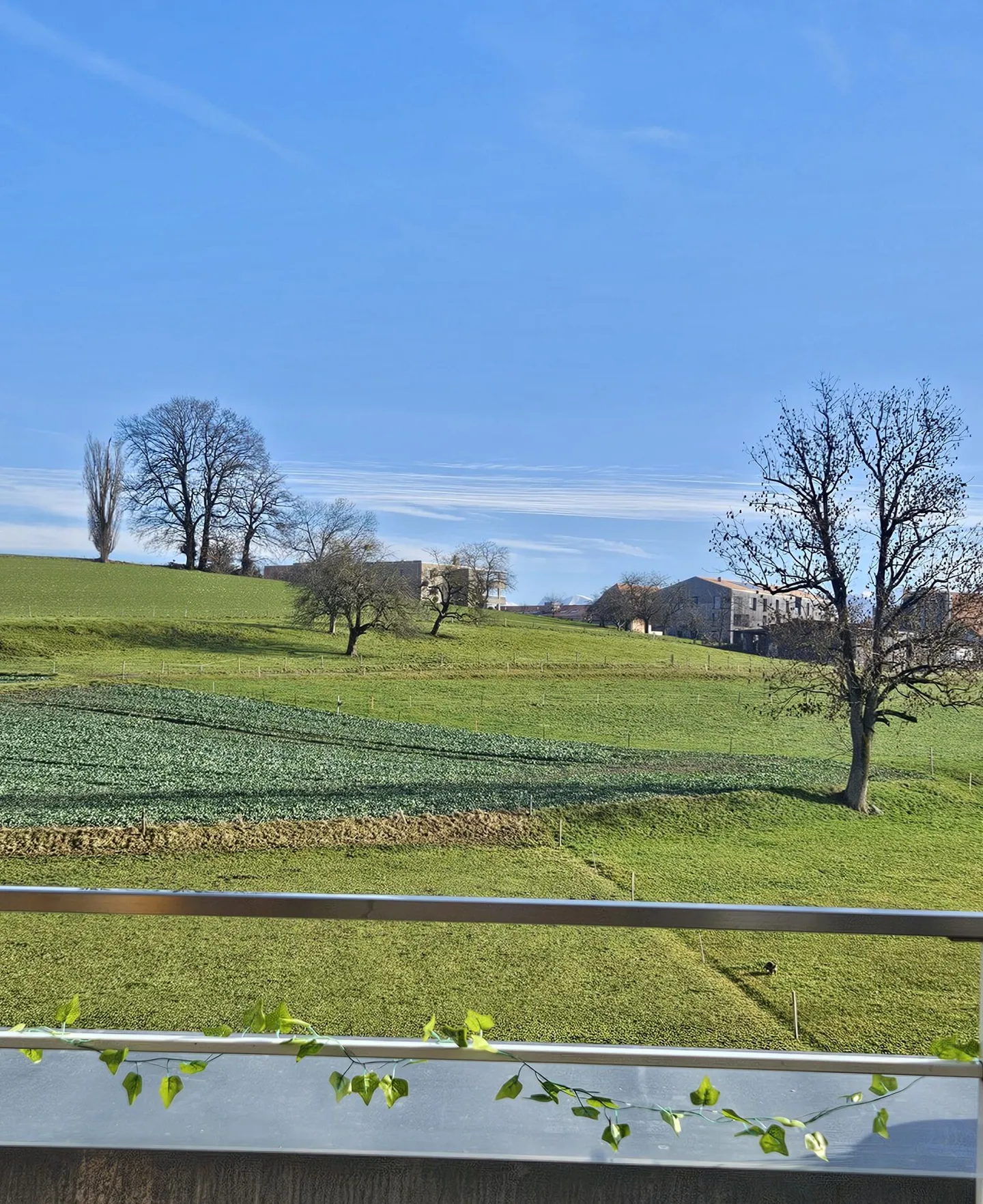 Wunderschöne 4,5-Zimmer-Wohnung von 101 m2 mit Balkon-Terrasse - Foto 3 von 7