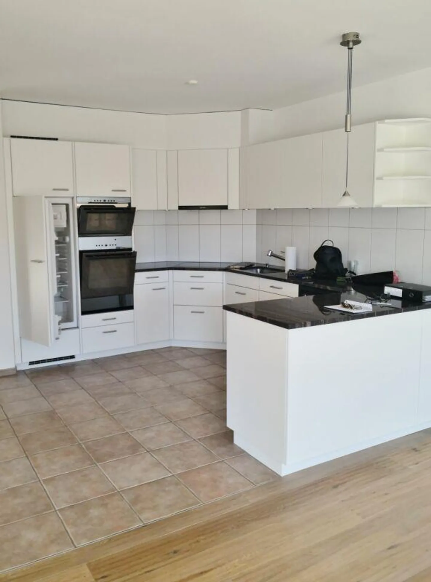 Terrace apartment with a view of the Rhine - Photo 4 of 11