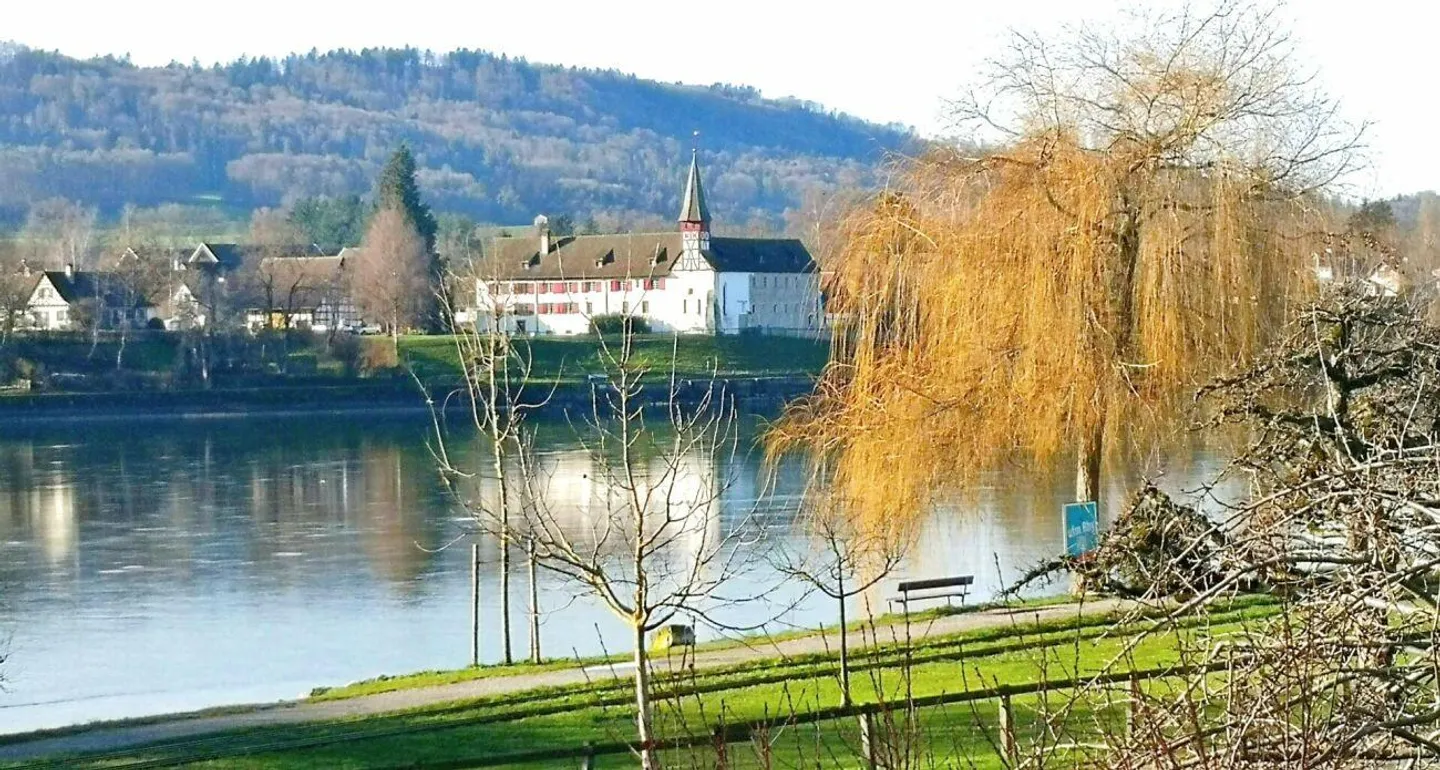 Terrace apartment with a view of the Rhine - Photo 9 of 11