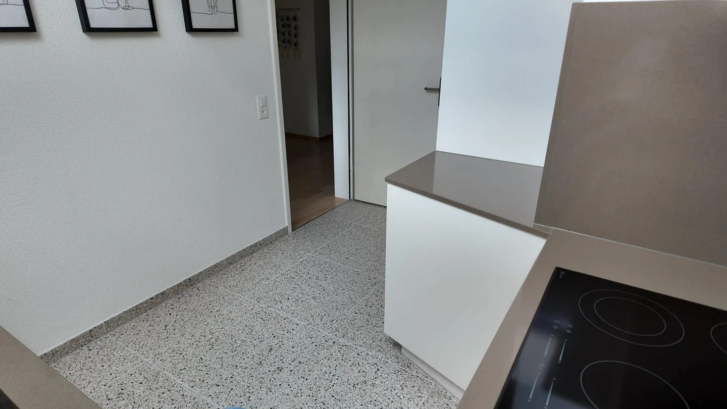 grande appartement de 2 1/2 pièces avec cuisine/salle de bain fraîchement rénovée - Photo 7 sur 10