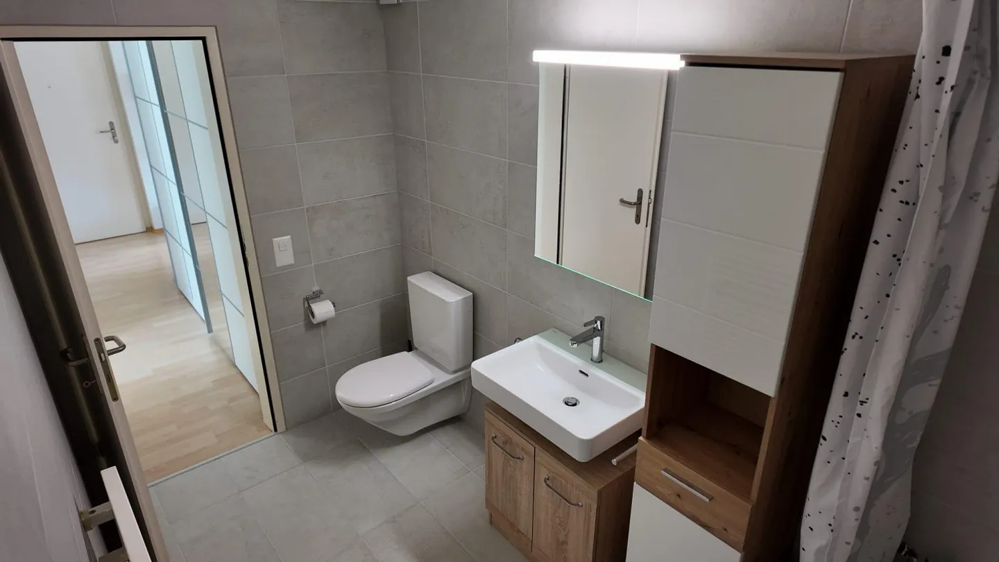 grande appartement de 2 1/2 pièces avec cuisine/salle de bain fraîchement rénovée - Photo 9 sur 10