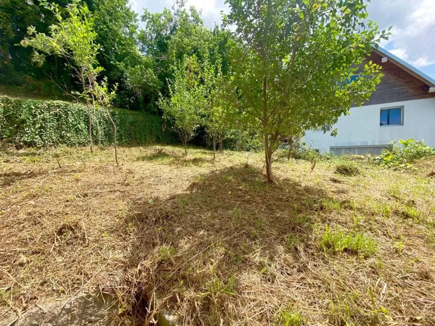 Opportunité de rénovation à Lugnez - Photo 10 sur 22