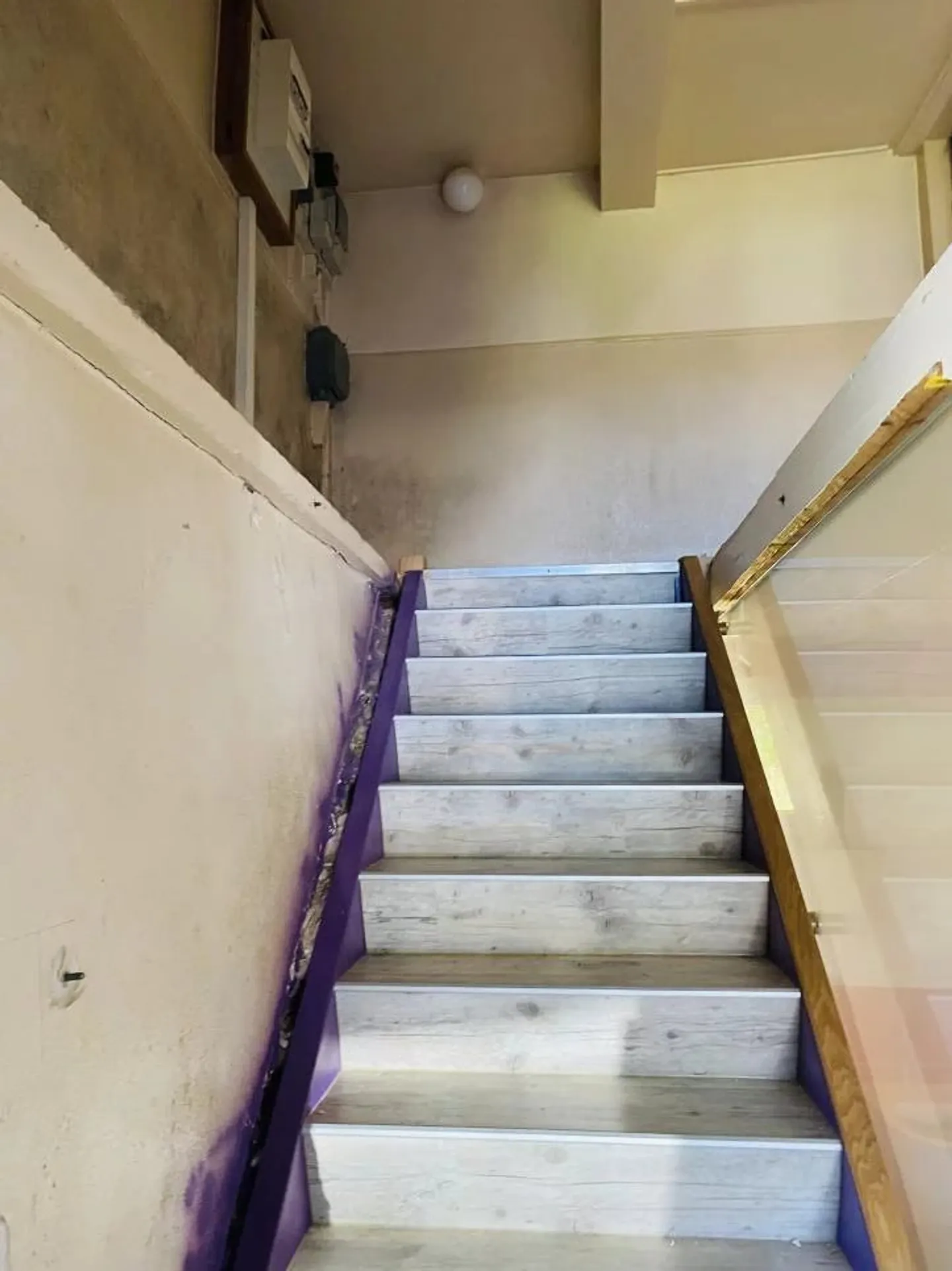 Opportunité de rénovation à Lugnez - Photo 17 sur 22
