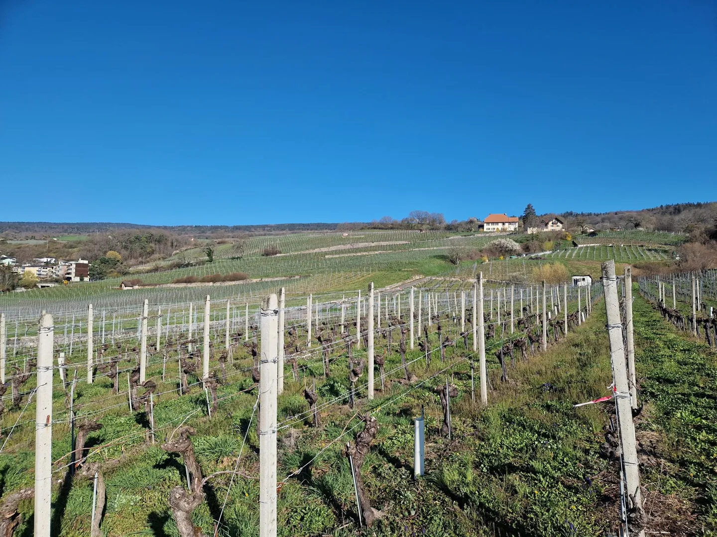 Maison renovée au calme - Photo 1 sur 12