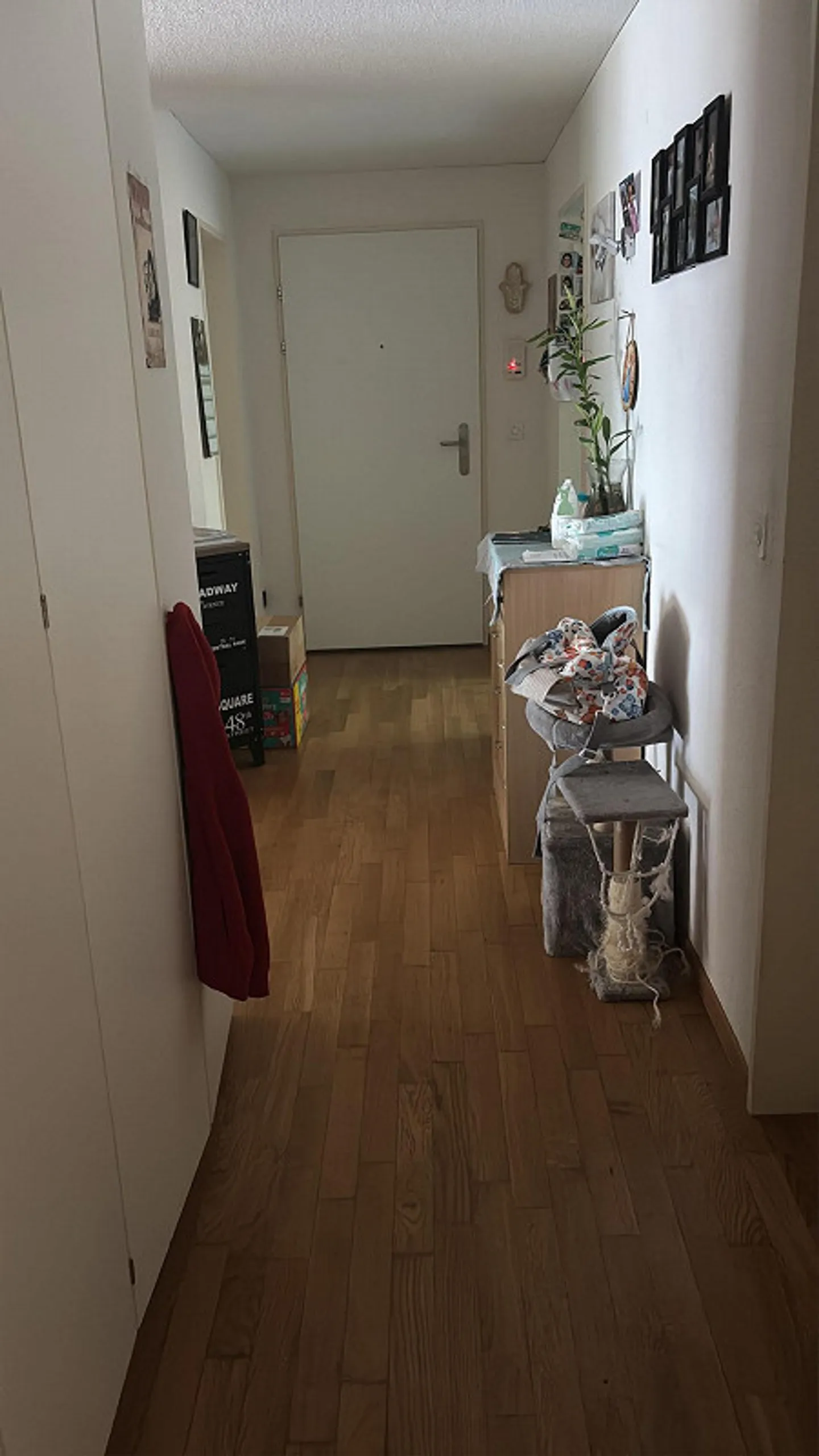 Looking for a new tenant - Photo 1 of 5