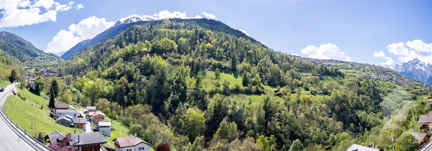 Grande casa di 7,5 stanze con carrozzeria al piano terra: offerta rara! - Foto 4 di 40