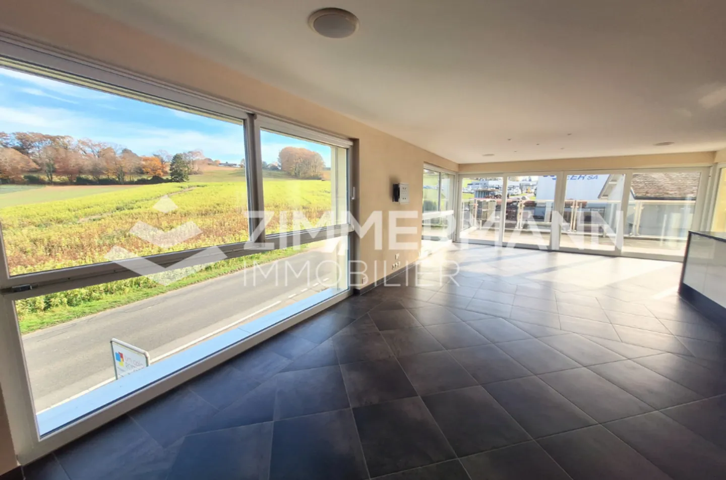 Magnifico appartamento di 4,5 stanze a Bremblens - Foto 4 di 19