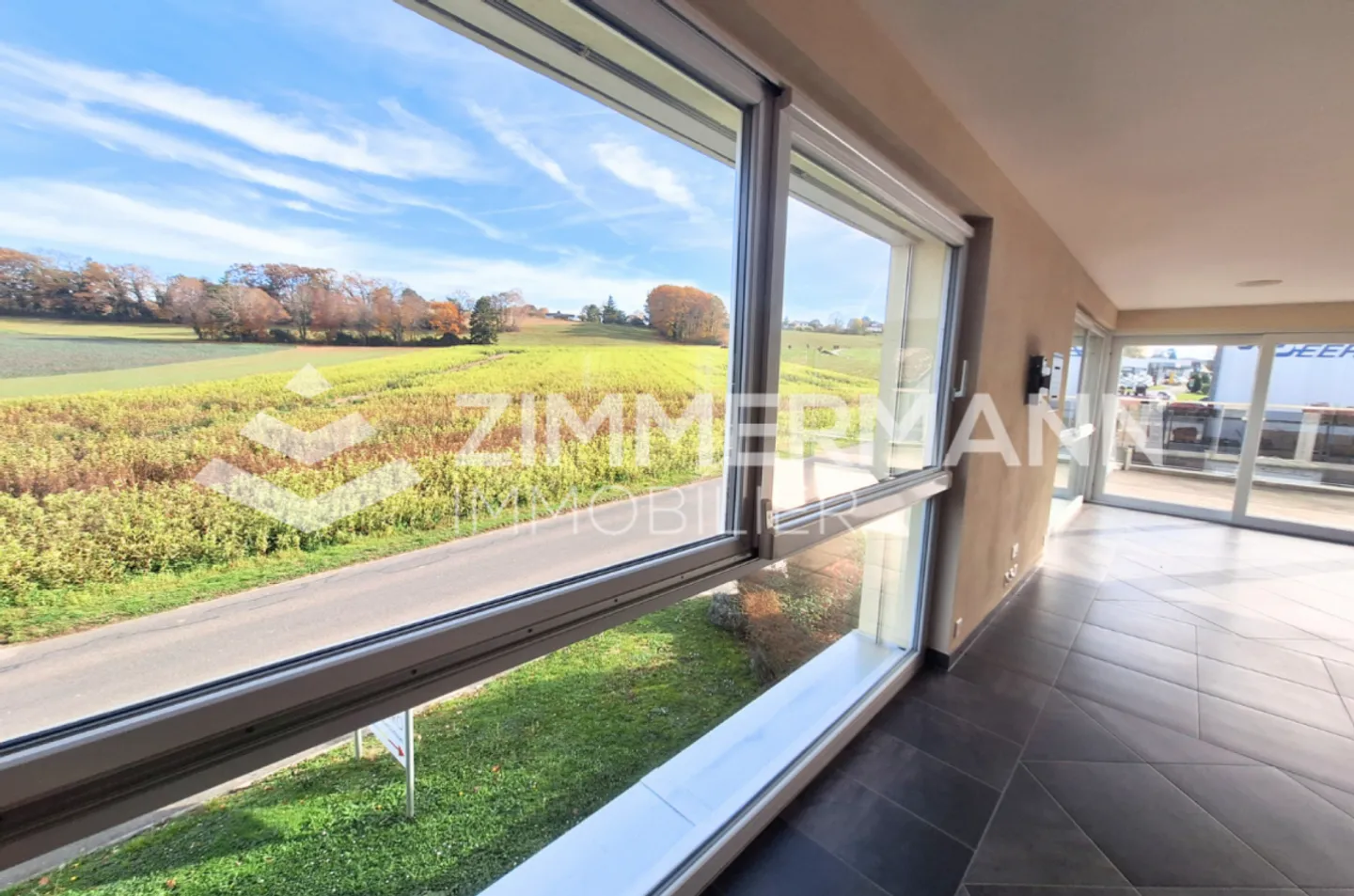 Magnifico appartamento di 4,5 stanze a Bremblens - Foto 3 di 19