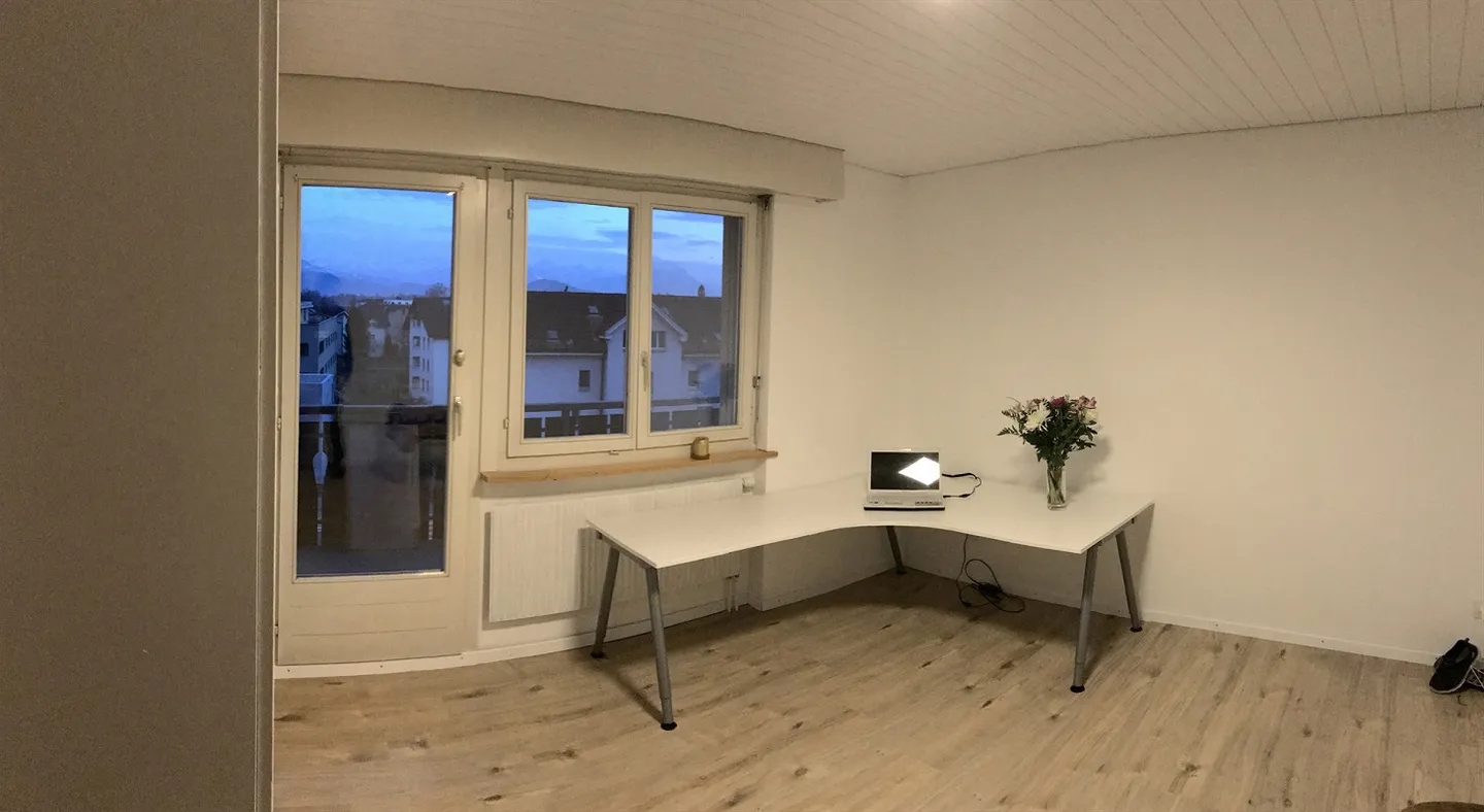 Grosse, helle und sonnige 4.5 Zimmerwohnung mit Traumaussicht 123m2 - Foto 14 von 15