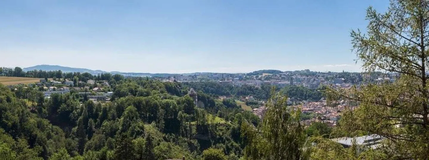 Dans les hauts de Fribourg - Vue magnifique !! - Foto 4 di 7