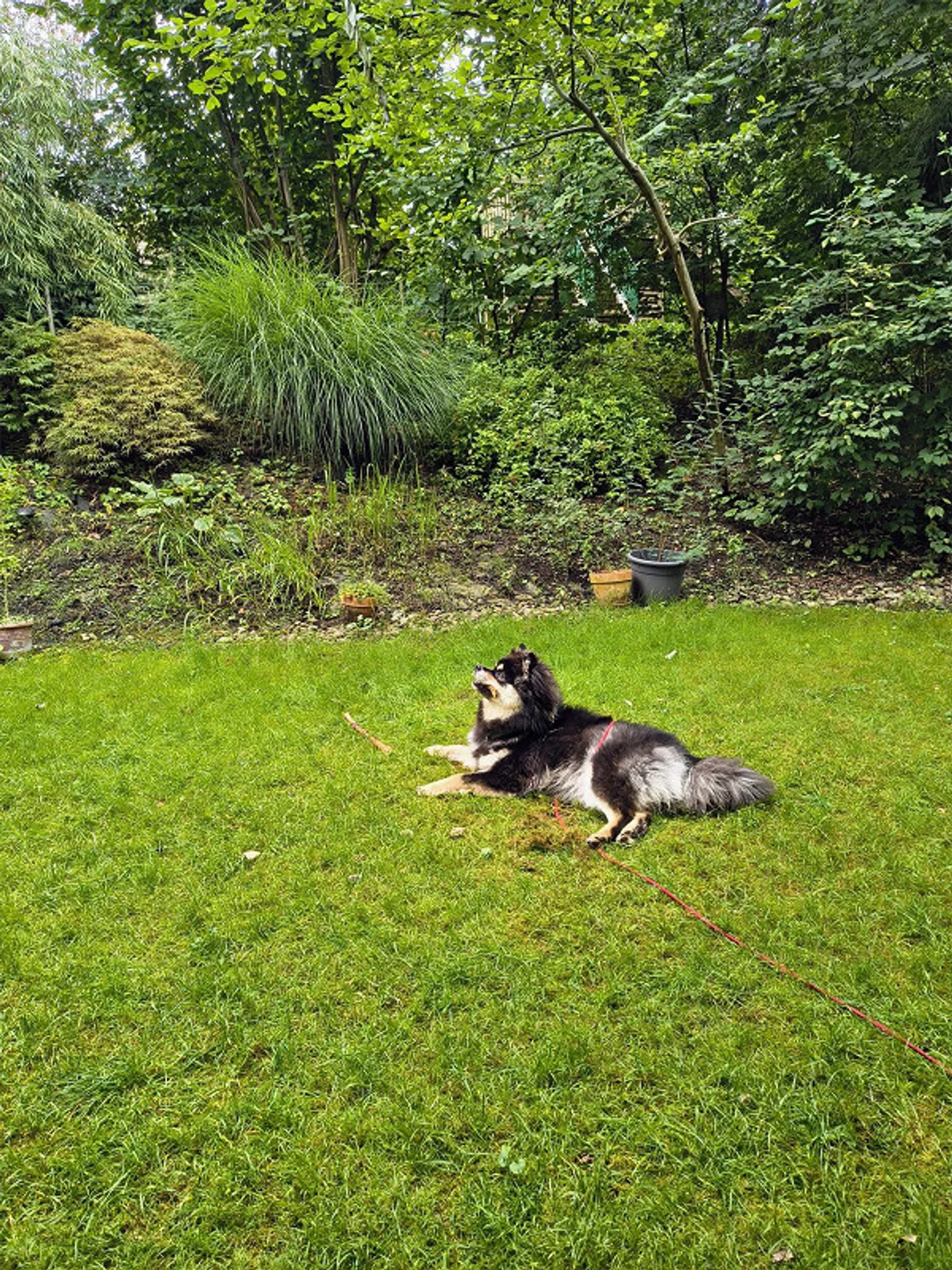 4.5-room apartment with garden in a quiet location in Affoltern am Albis - Photo 9 of 10