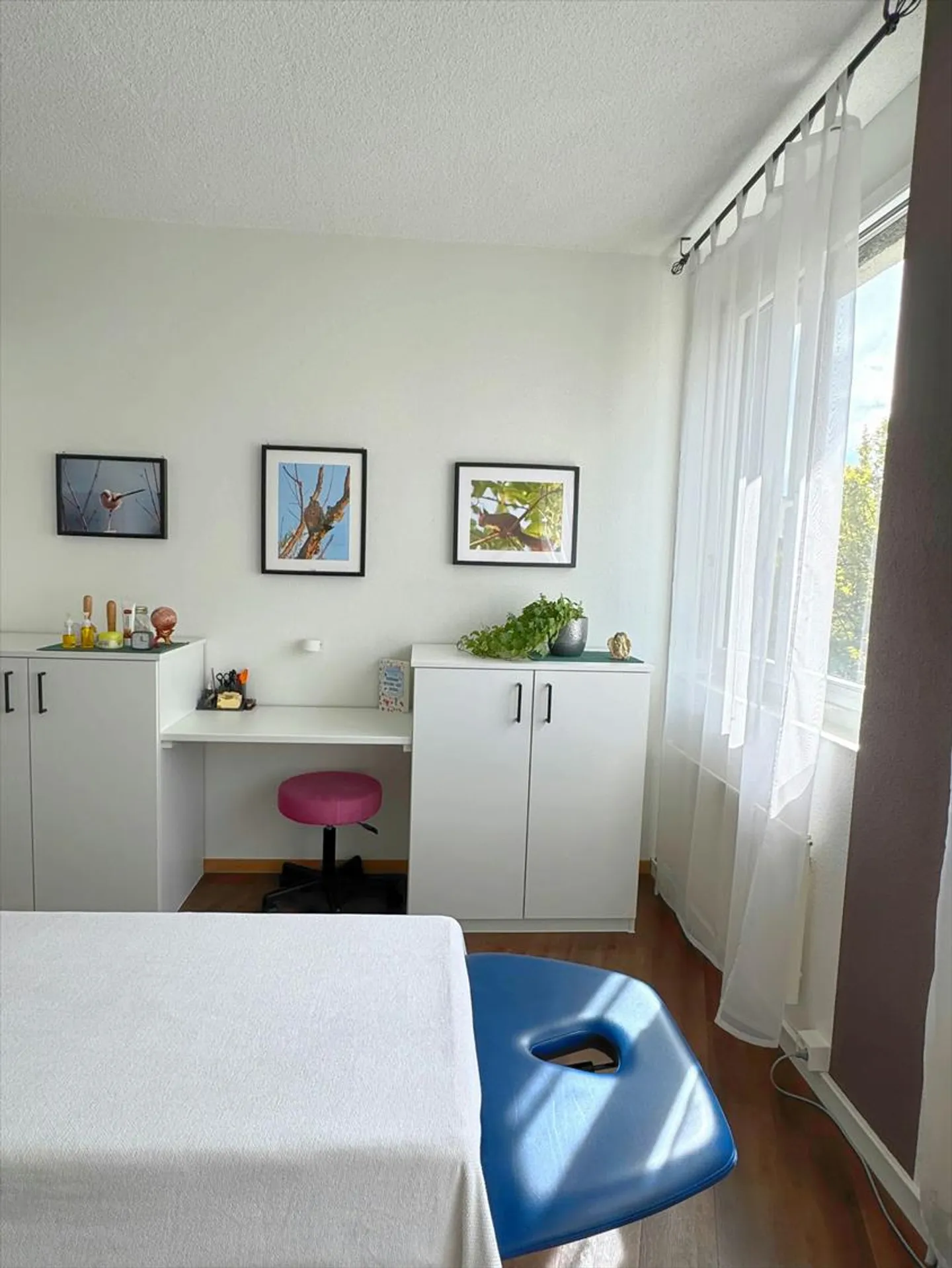 Utilizzo part-time di una sala pratica inclusa nel portafoglio clienti - Migliore posizione a Pf... - Foto 6 di 13