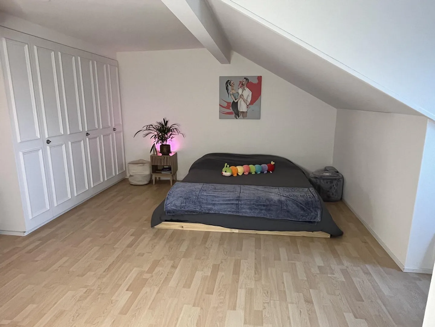 Magnificent 4.5 room apartment with exceptional view - Photo 12 of 22