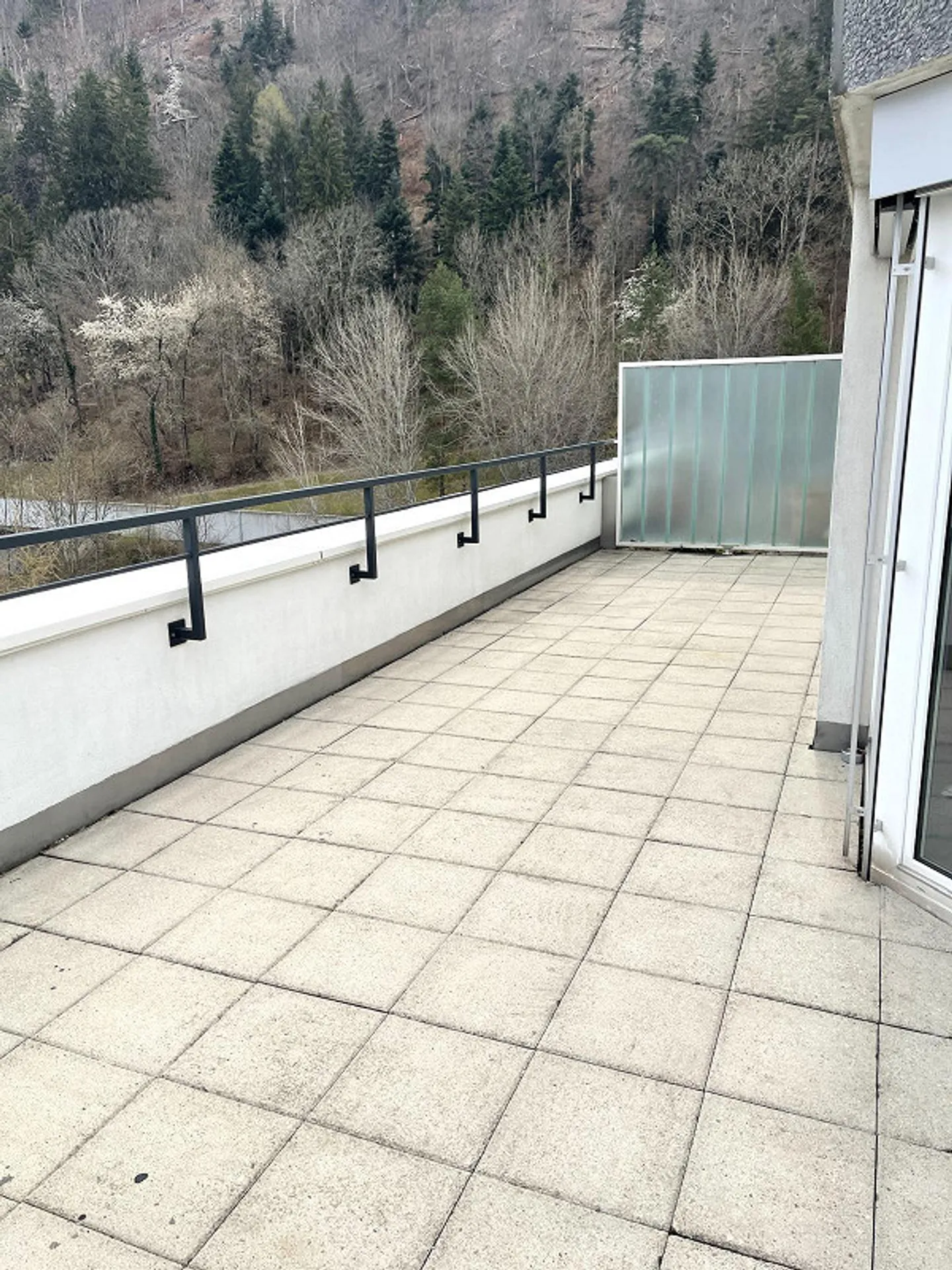 Spacious 4.5-room penthouse apartment - Photo 15 of 18