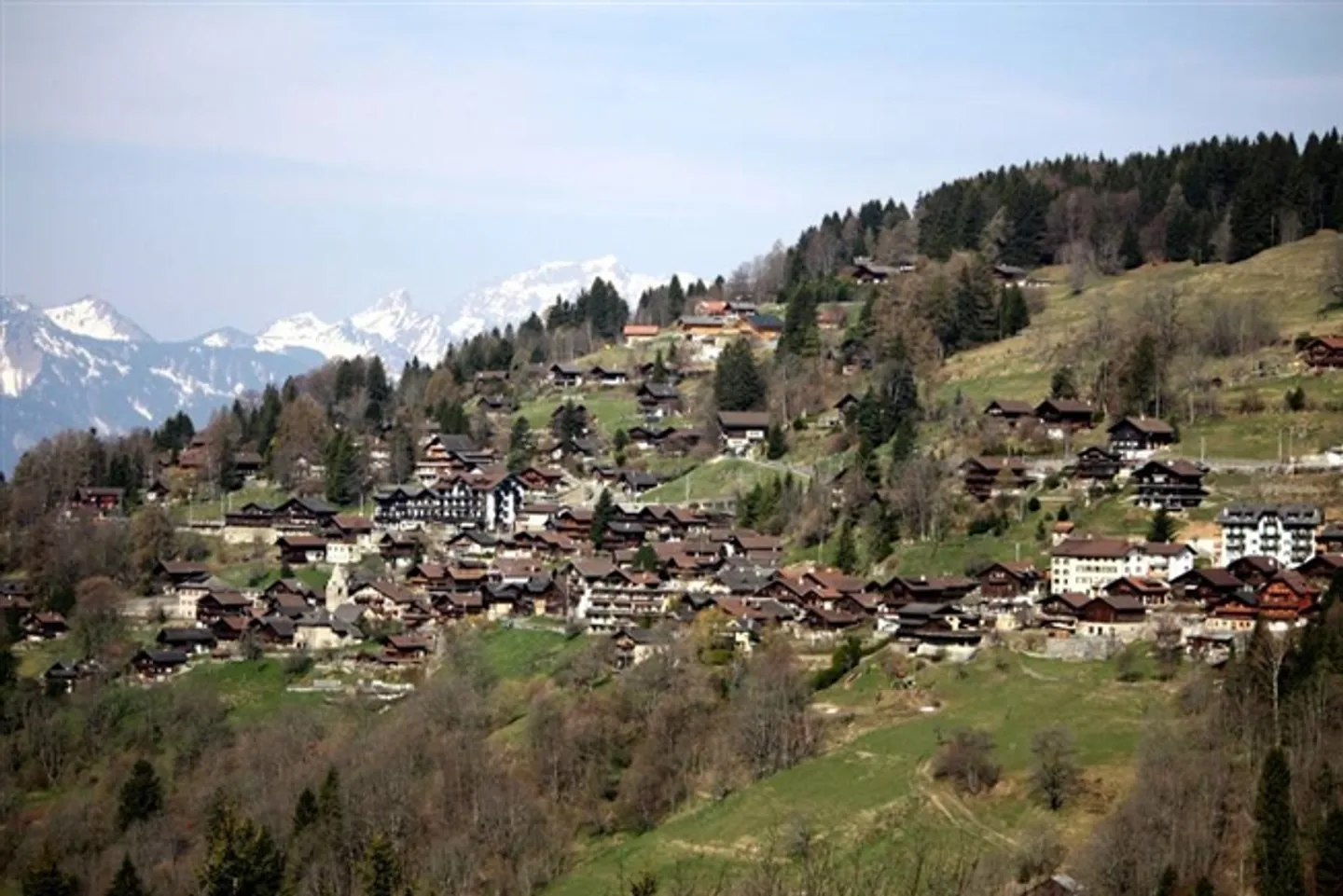 Terreni edificabili con vista panoramica a Gryon - Foto 2 di 4