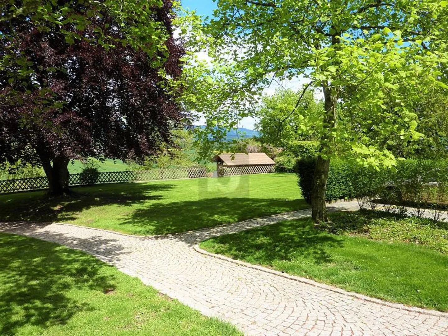 3,5-Zimmer-Wohnung - Foto 2 von 6