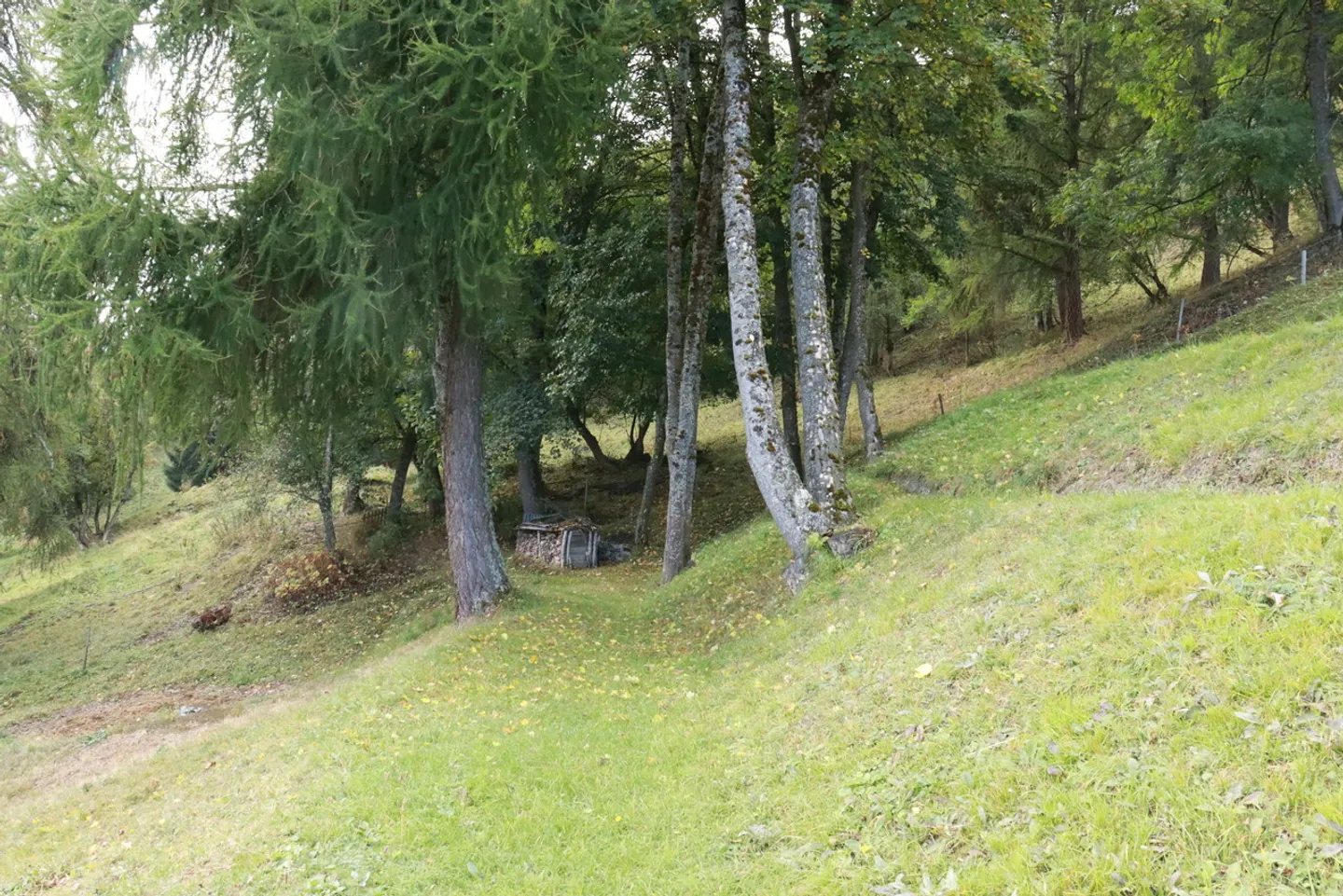 Chalet mit Panoramasicht in Hérémence - Foto 3 von 19
