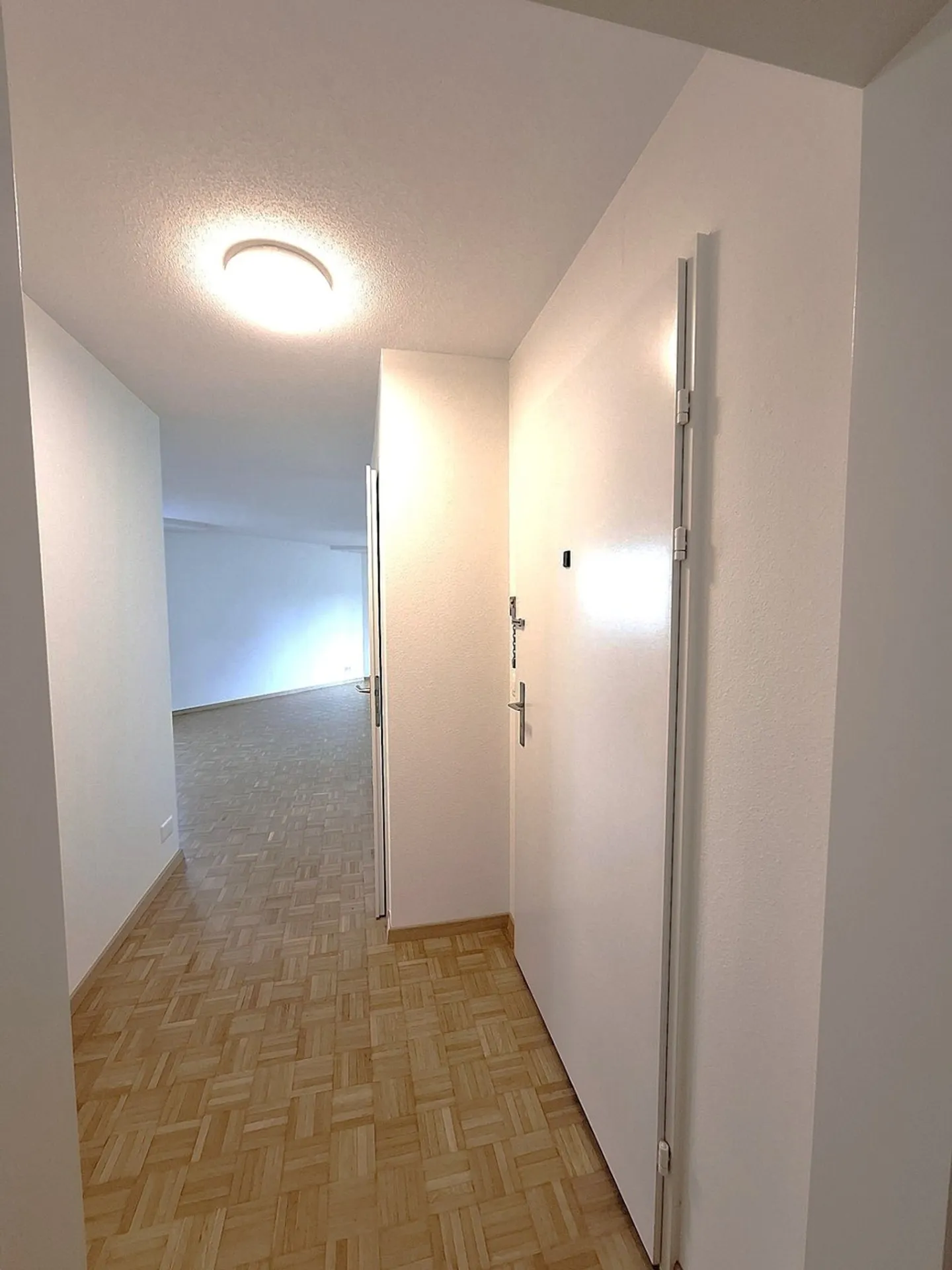 Newly renovated modern apartment in Lucerne - Photo 2 of 13