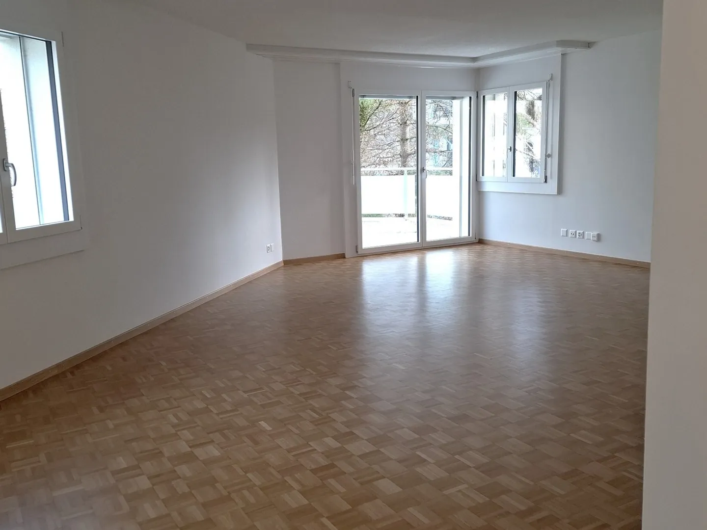 Newly renovated modern apartment in Lucerne - Photo 4 of 13