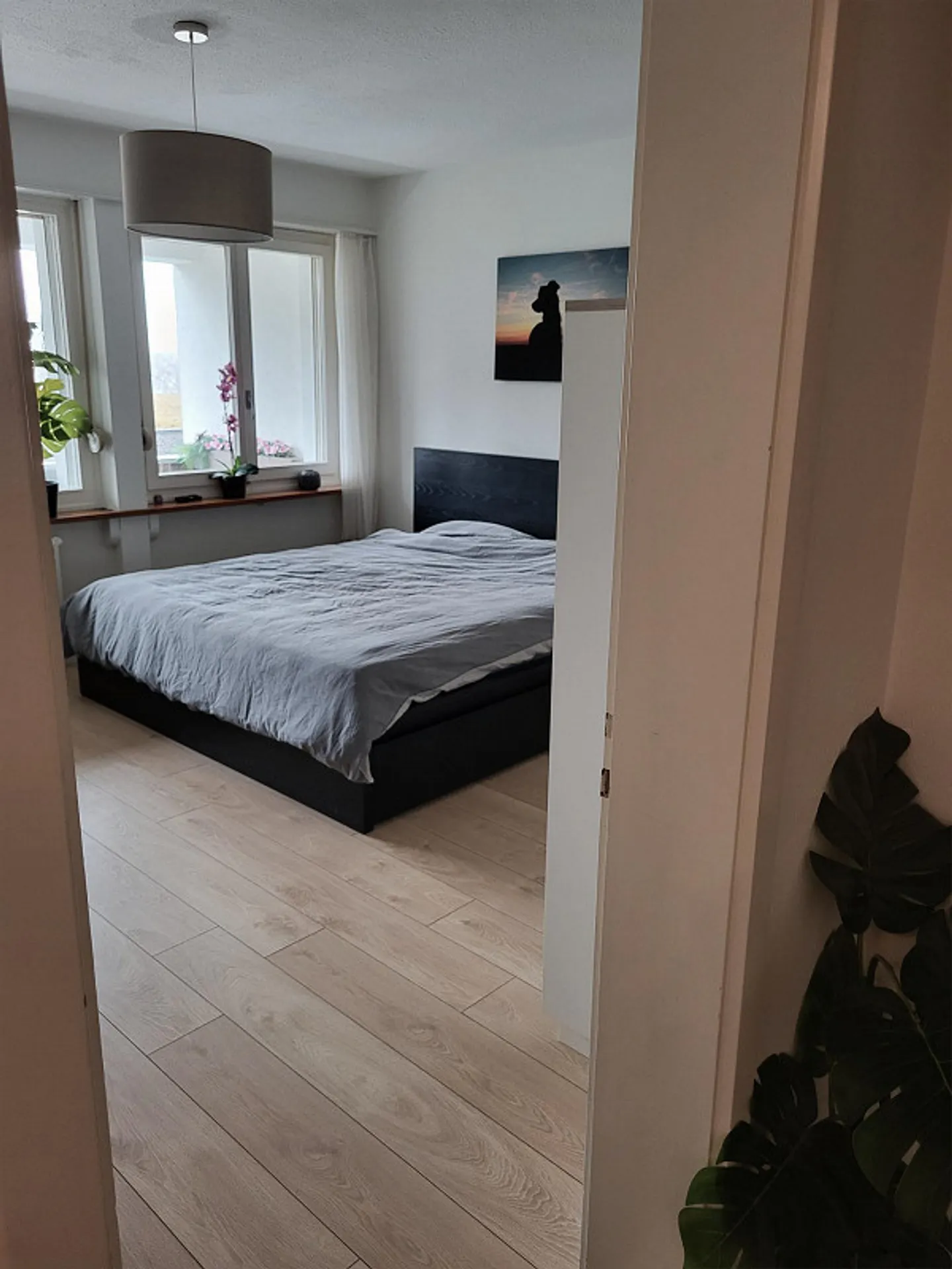 Posizione residenziale molto centrale eppure tranquilla - Foto 2 di 7