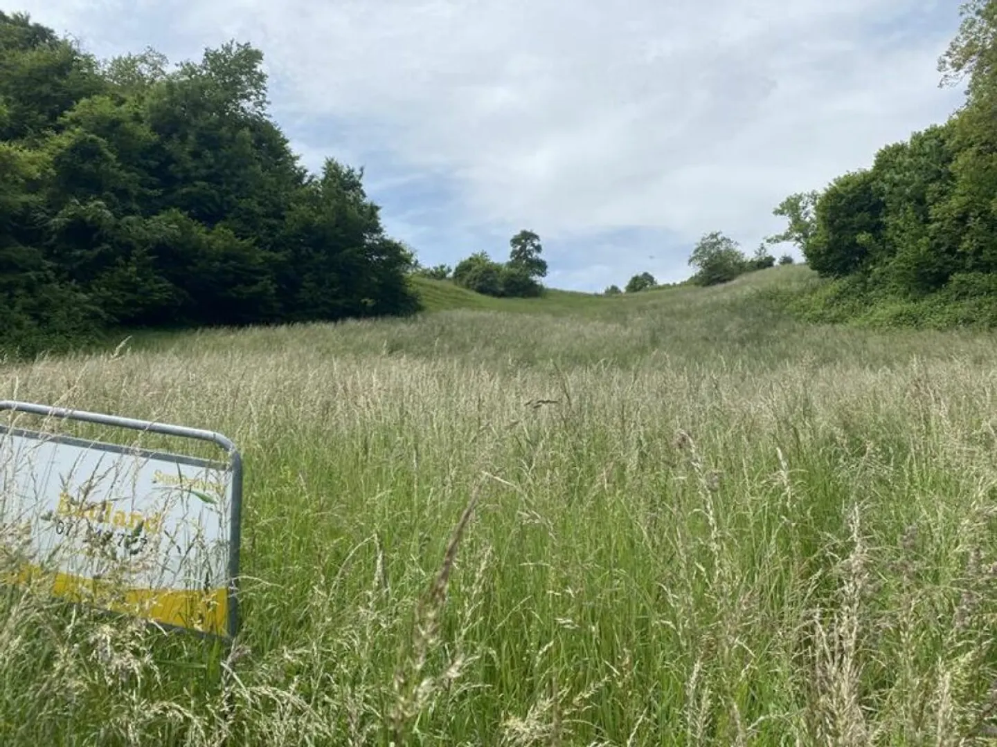 Exclusive Plot with Stunning Views - Photo 7 of 11
