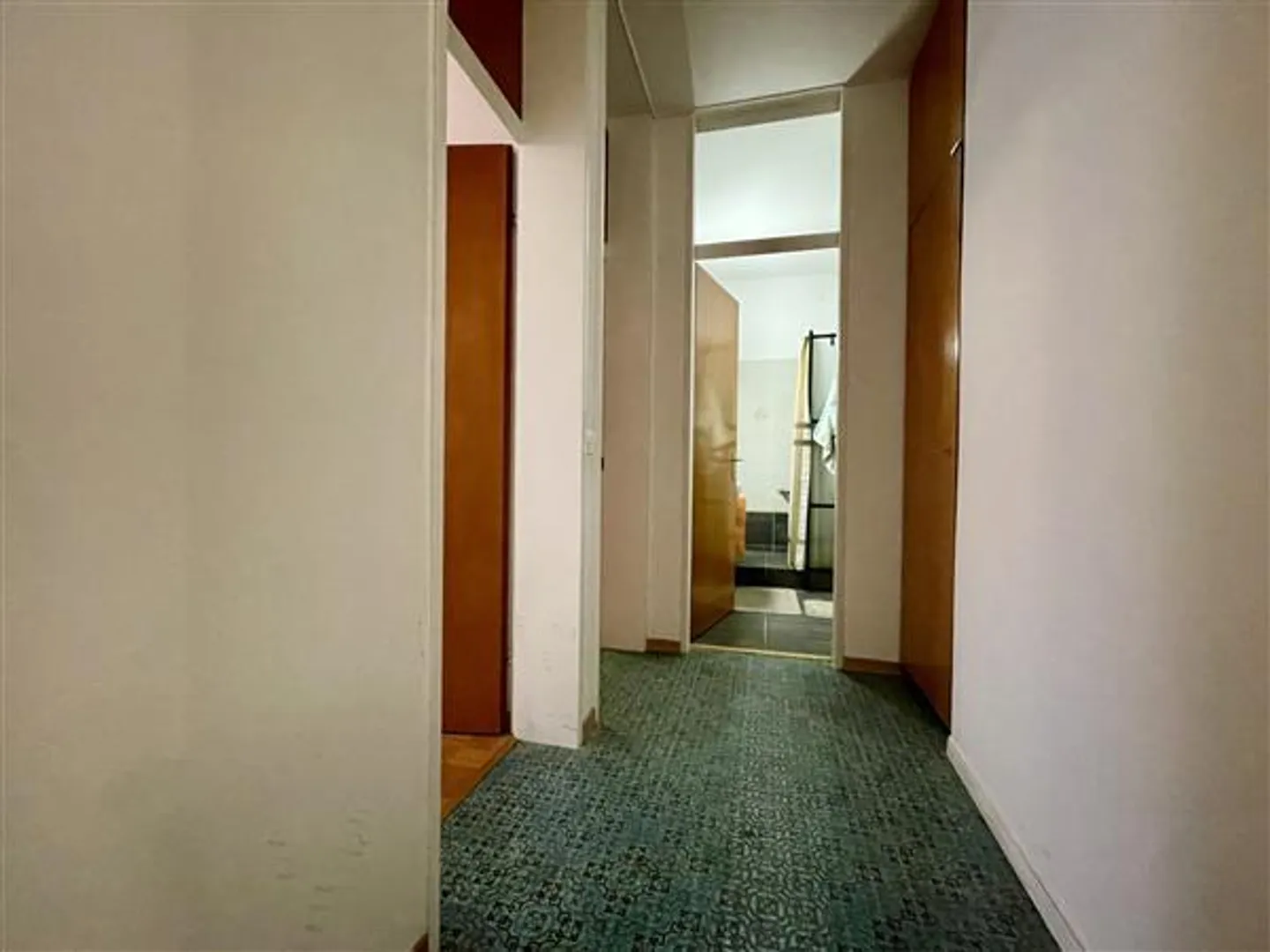 Lugano: 3.5-Room Apartment - Photo 12 of 13