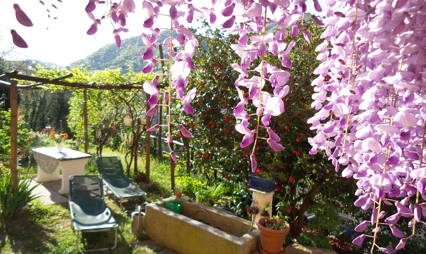 Bed & Breakfast - Proprietà con terreno - Foto 4 di 18