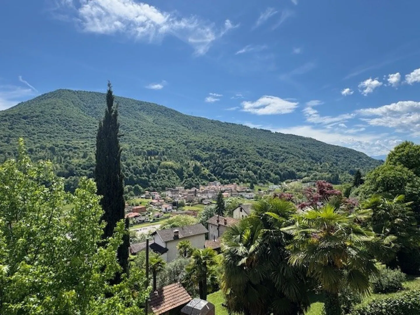 Bed & Breakfast - Proprietà con terreno - Foto 6 di 18