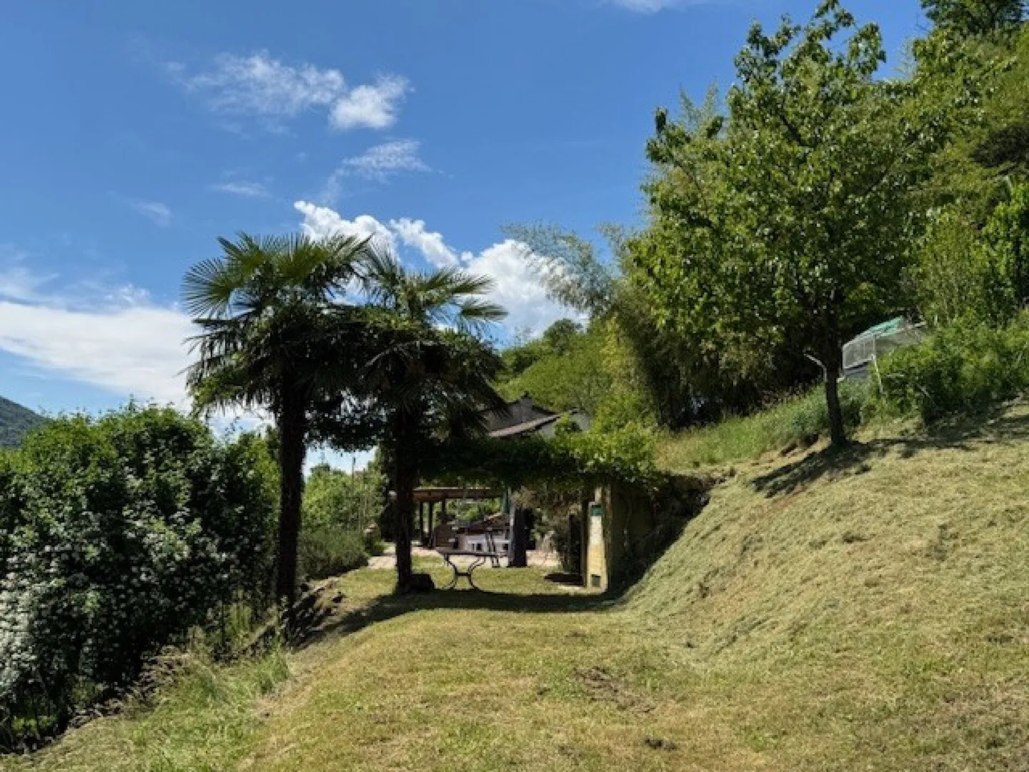 Bed & Breakfast - Proprietà con terreno - Foto 7 di 18