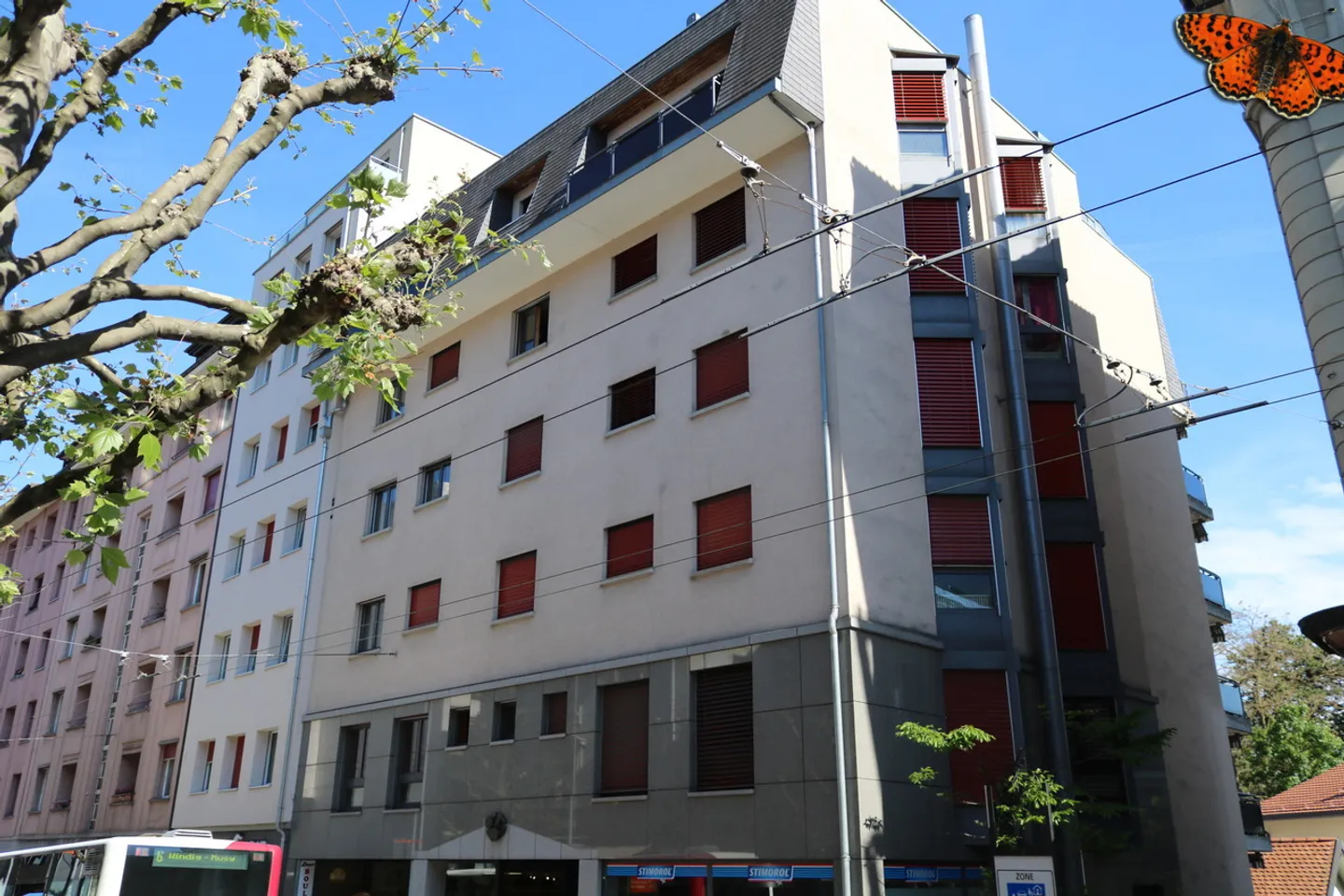 Casa singola in affitto - Foto 1 di 15