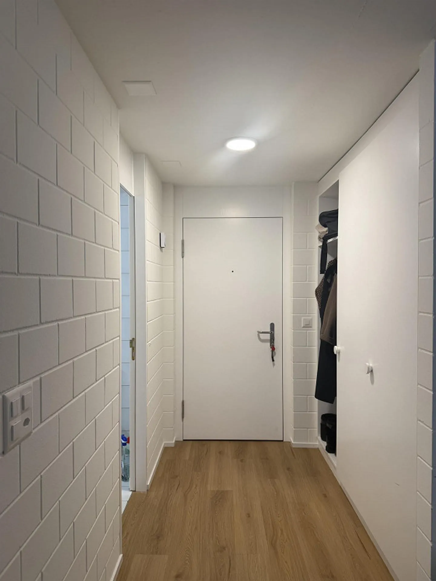 Newly renovated studio - Photo 1 of 8