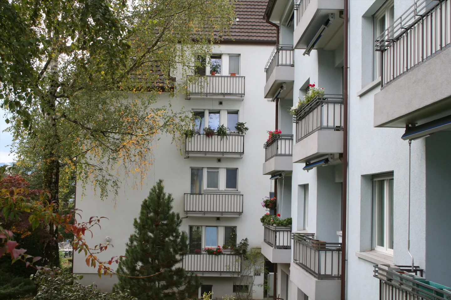 «MIETEN OHNE KAUTION - Gemütliches Wohnen in der Nähe Uni Irchel» - Foto 2 von 6