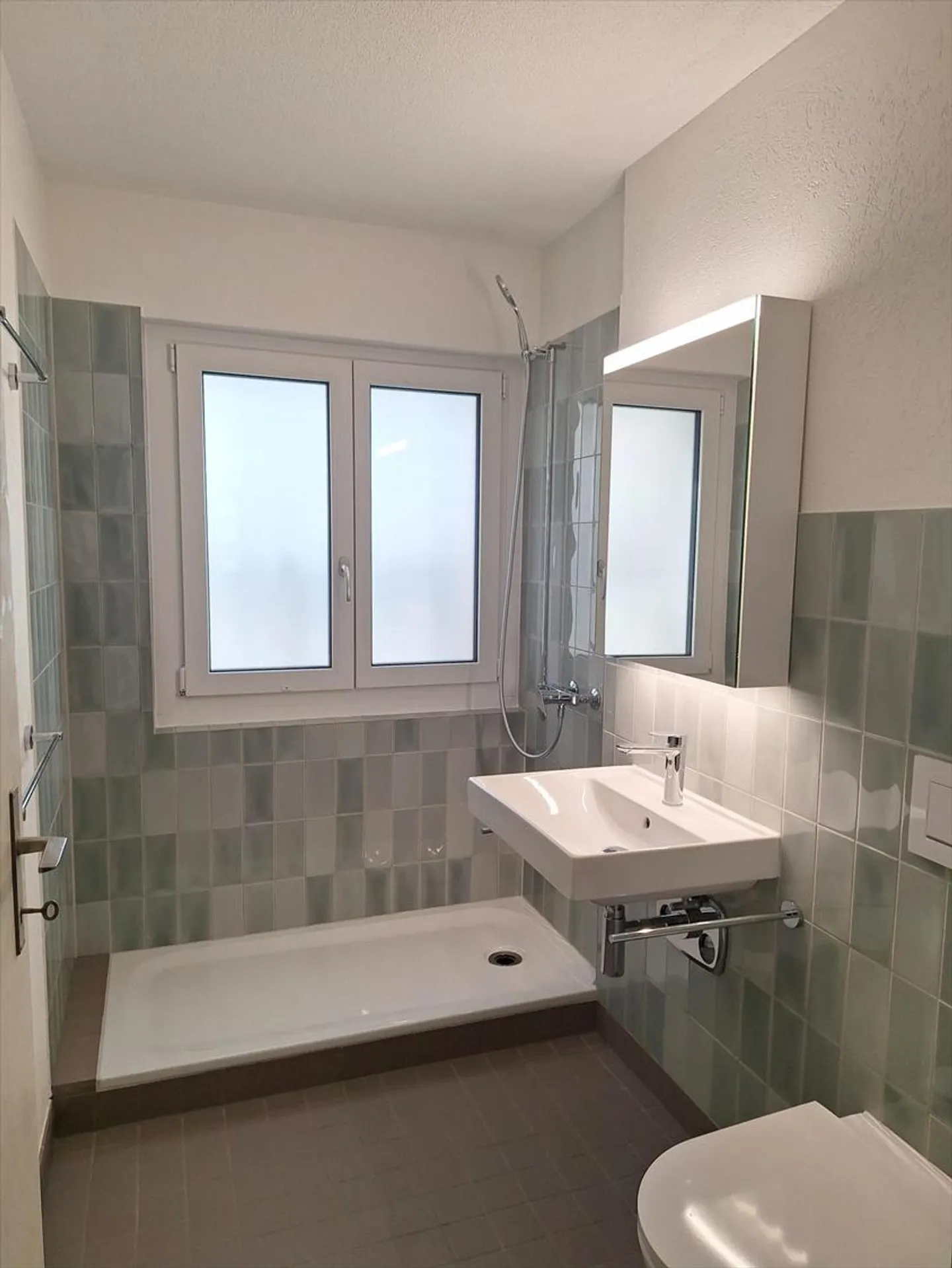 Renting without deposit - First occupancy after renovation in a quiet location - Photo 5 of 7