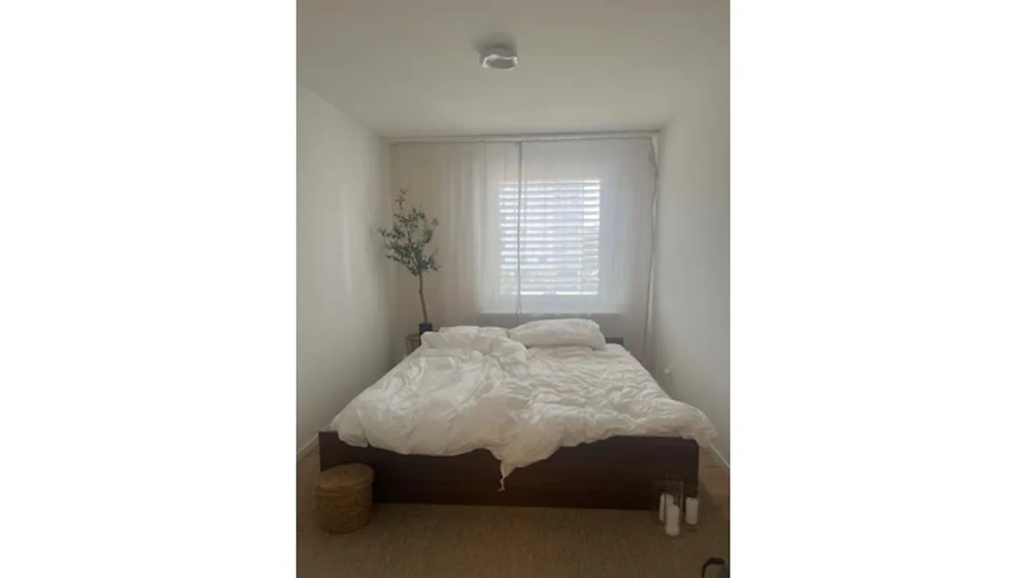 3½ ROOM APARTMENT IN ALLSCHWIL (BL), FURNISHED, TEMPORARY - Photo 6 of 8