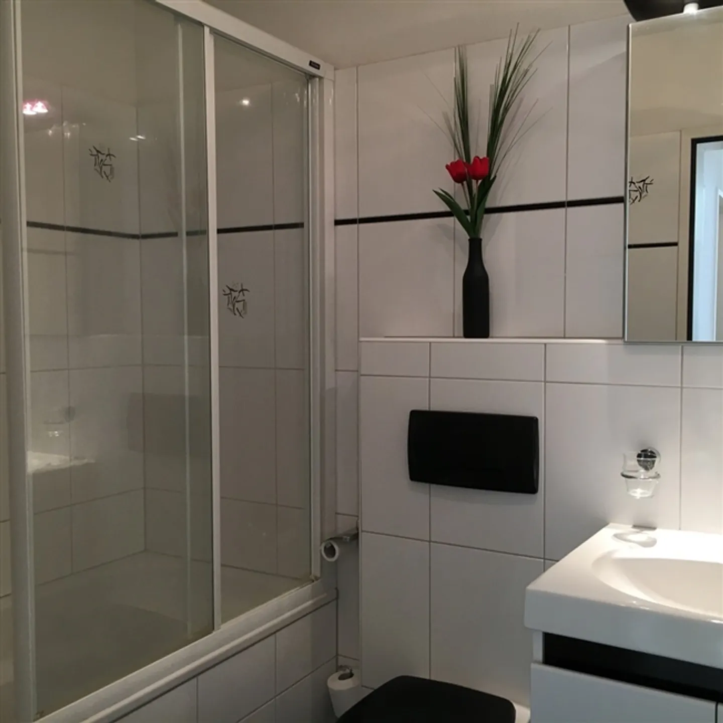 Furnished apartment for rent - in Buchs Zurich, Switzerland - with private laundry room - Photo 18 of 20