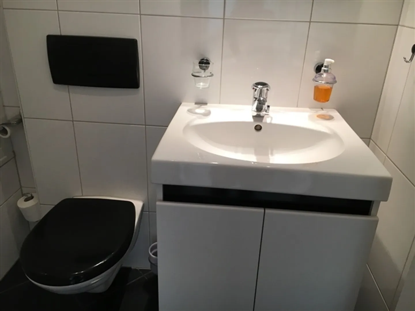 Furnished apartment for rent - in Buchs Zurich, Switzerland - with private laundry room - Photo 19 of 20