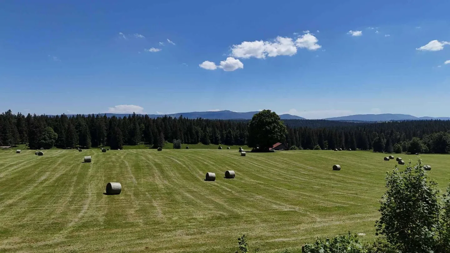 Charmant Chalet de Montagne - Photo 12 sur 13