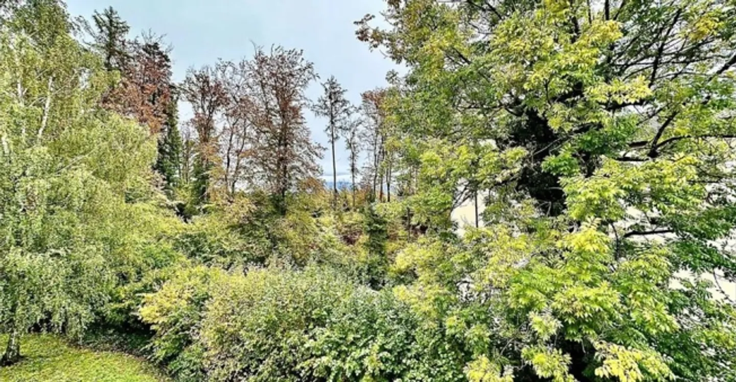 Spazio ufficio in affitto - Foto 5 di 9