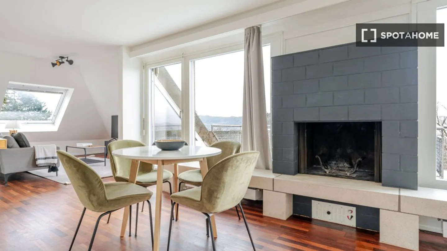 Charmante Wohnung in Zürich - Foto 9 von 18