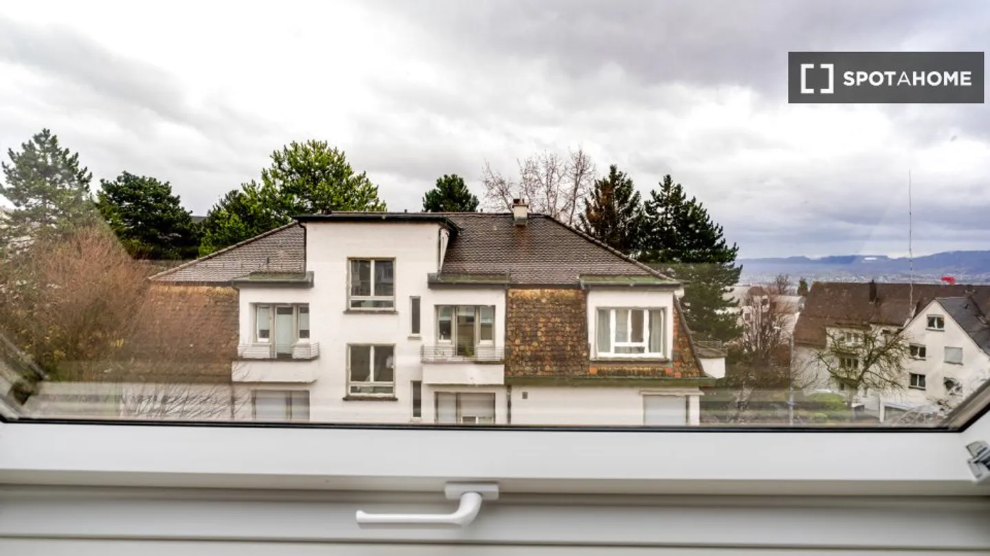 Charmante Wohnung in Zürich - Foto 17 von 18