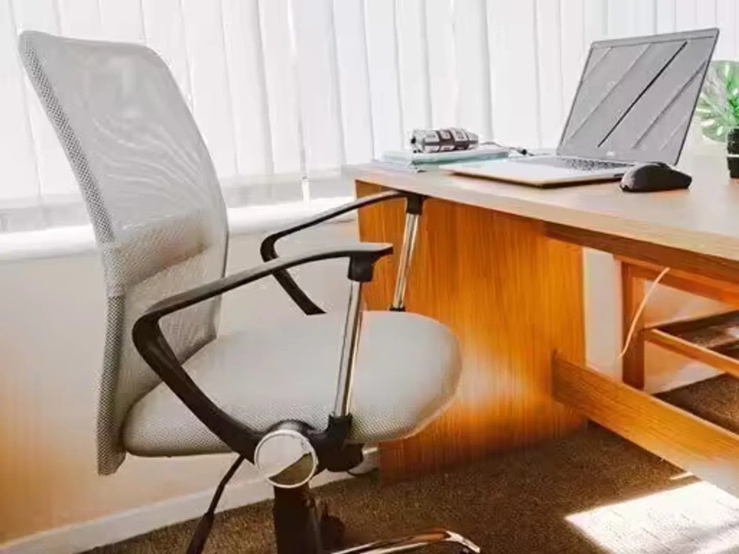 Espace industriel spacieux à louer - Photo 1 sur 1