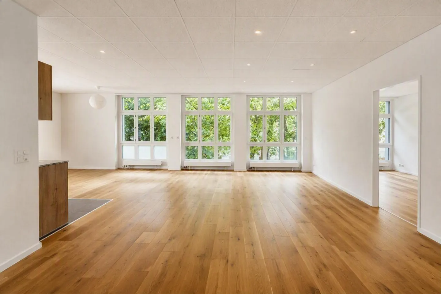 Spazio per ufficio o studio attraente con vista sulla Limmat - Foto 1 di 11