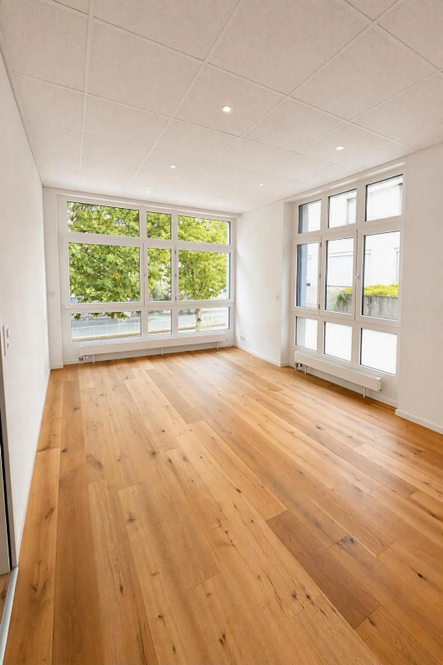 Spazio per ufficio o studio attraente con vista sulla Limmat - Foto 4 di 11