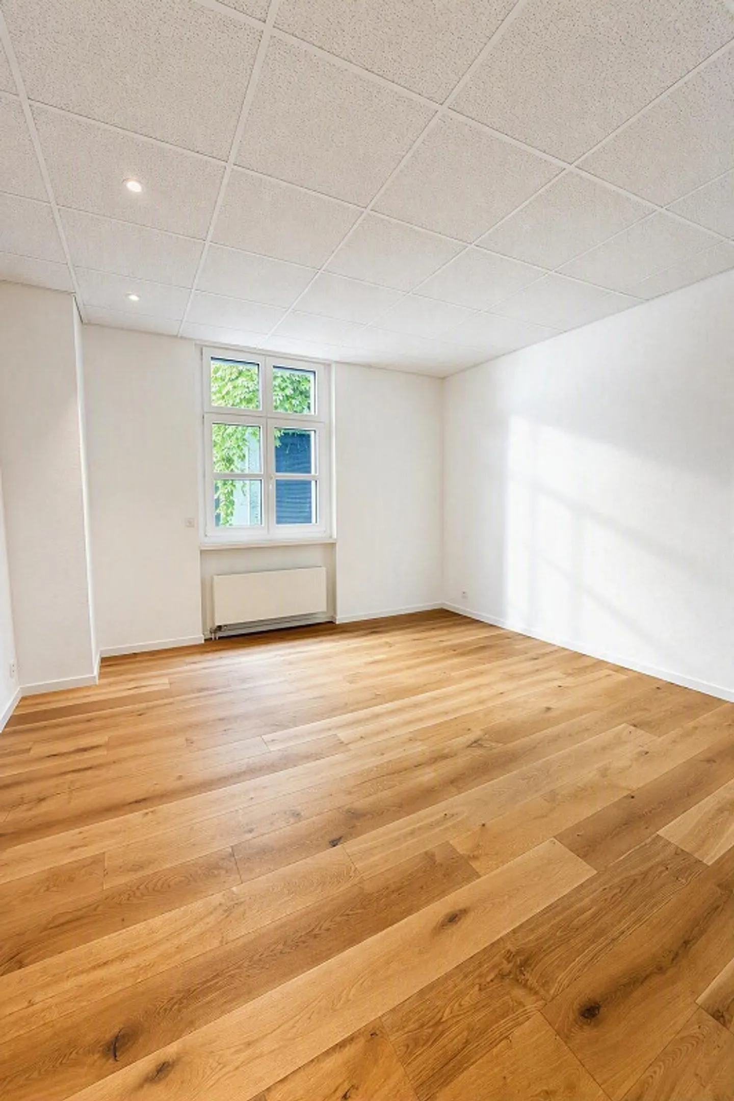 Spazio per ufficio o studio attraente con vista sulla Limmat - Foto 6 di 11