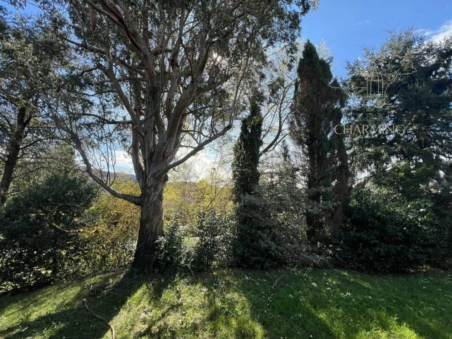 Unabhängige Villa mit großem Privatpark in Ponte Capriasca - Foto 6 von 10